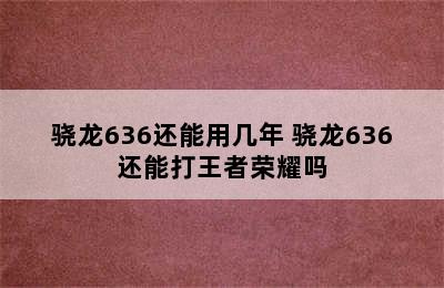 骁龙636还能用几年 骁龙636还能打王者荣耀吗